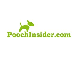 Pooch Insider