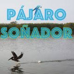 Pajaro Soñador (Erkenci Kus)