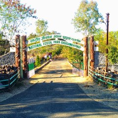 Best Tourist Places