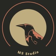 MS Studio