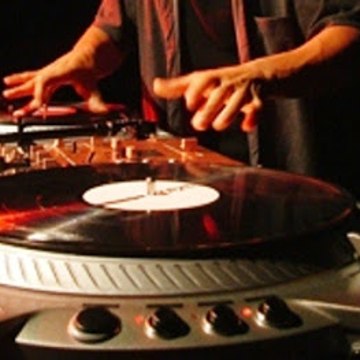 ▷ Jerbos Hermosos ◁