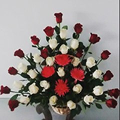 Mundo Floral