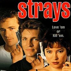 American Strays 123Movies