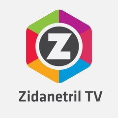 Zidanetril Gaming