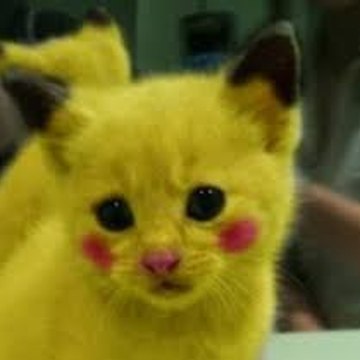 ANIMAUX MIGNON