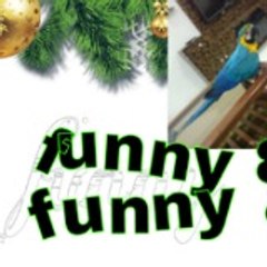 Funny & comedy