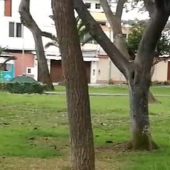 juanvideos