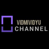 Vidmi vidyu