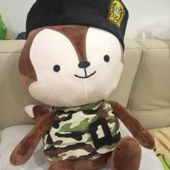 Mini Video Sharer