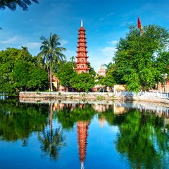 New Phim Việt Nam Vision