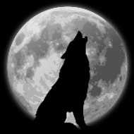 DARK KING WOLF DRACO MAL WOLFER