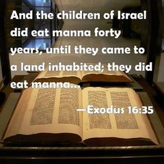 PEOPLE BACK TO THE BIBLE