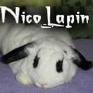 nicolapin