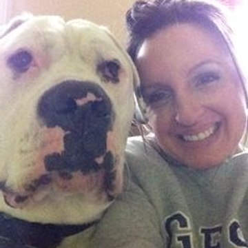 dm_8228a413fb98c4599b7783a0b9c5a04c