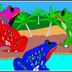 Cortoon Colours CC