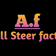 all Steer facts