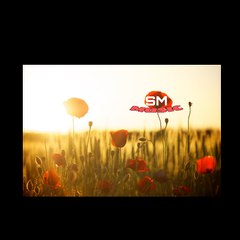 Sriyansh music