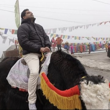 Shanu Journey & History with Singh