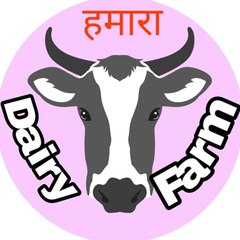 dairy farm