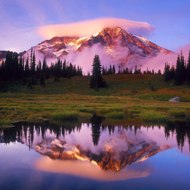 Şifalı Bilgiler.com