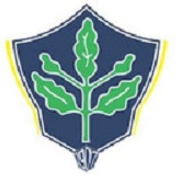Fenerbahçe Blog