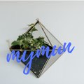 Mymun