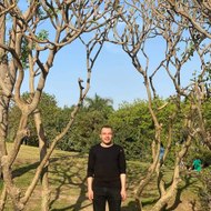 طبيب المدينة