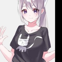 aninha chan panda cat