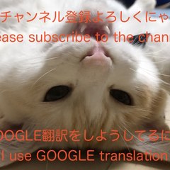 Japan, cats and other everyday life.