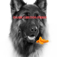 ElDOGOCheto