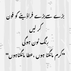 Raja Haider