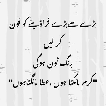 Raja Haider