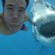 dm_8d773939bfeb0f44d07d5d11241a227f