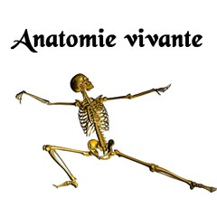 Anatomie vivante