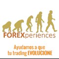 FOREXperiences