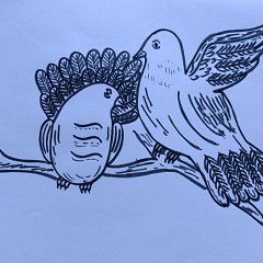 Vikash Drawing