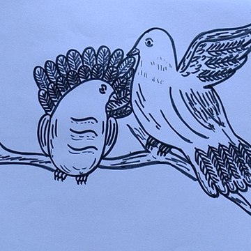 Vikash Drawing
