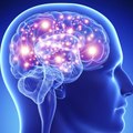 Brain Challenge