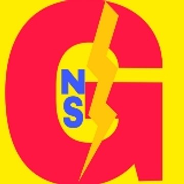 NEW STYLE WITH GNS