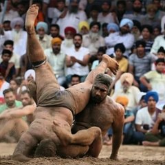 India wale tiger wrestling