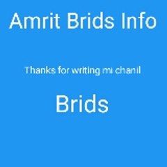 Amrit Birds Info