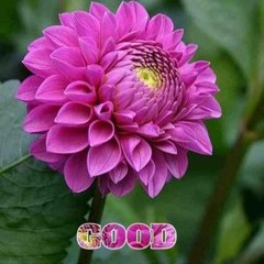 Amrendra Kumar