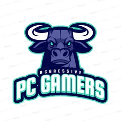 AGGRESSIVE PC GAMERS