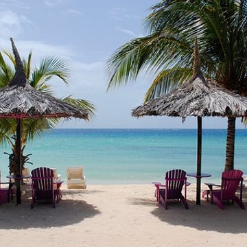 Paradise