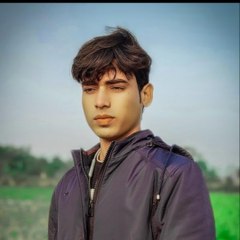 Shahnwazhits