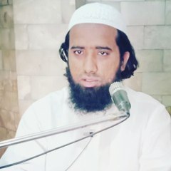 Molan Masood Nqb