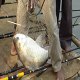 fishing help & tips