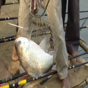 fishing help & tips