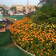 Shoukat Rao official