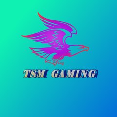 TSM gaming